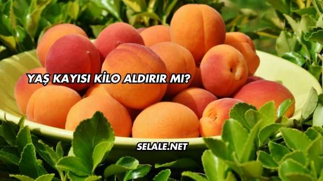 Yaş Kayısı Kilo Aldırır mı